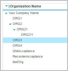 organization hierarchy