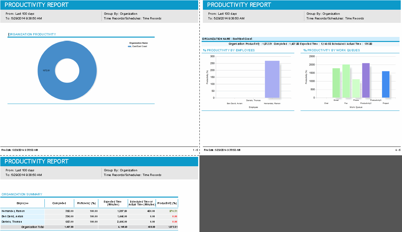 Productivity Report: Summary: Report for Time Records, Grouped by Organization