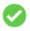 Success icon
